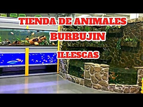 Gu&iacute;a de compras de productos para mascotas en Cubas de la Sagra